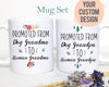 Promoted From Dog Grandma and Grandpa To Human Grandma and Grandpa Individual or Mug Set #2 - White Ceramic Mug - Inkpot