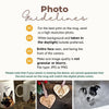Custom Pet Portrait Shirt or Sweatshirt